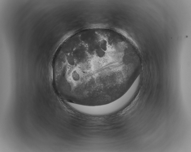 X0000111841221200908201210