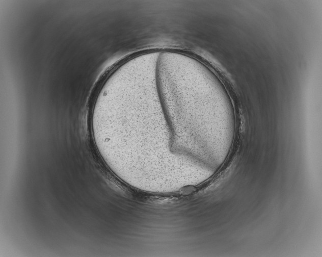 X0000111841222200908201210