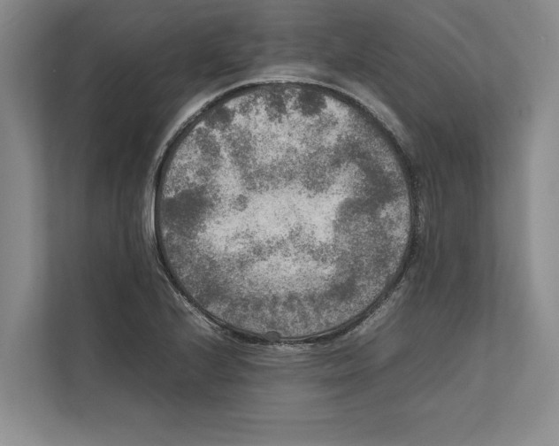 X0000111841224200908201210