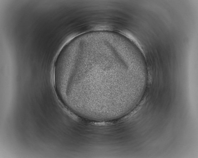 X0000111841227200908201210