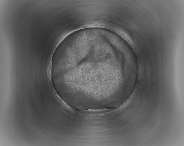 X0000111841228200908201210