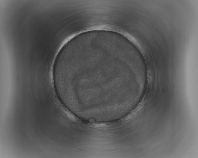 X0000111841230200908201210