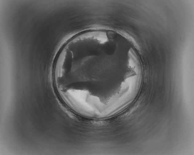 X0000111841231200908201210