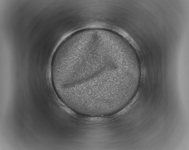 X0000111841232200908201210