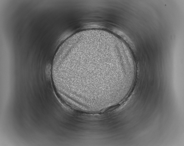 X0000111841233200908201210