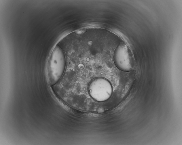 X0000111841235200908201210