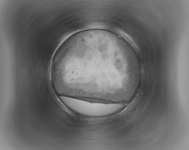 X0000111841236200908201210