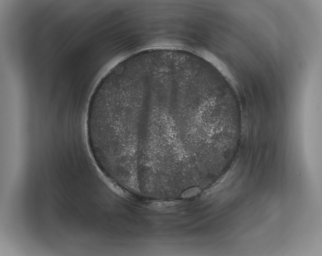 X0000111841237200908201210