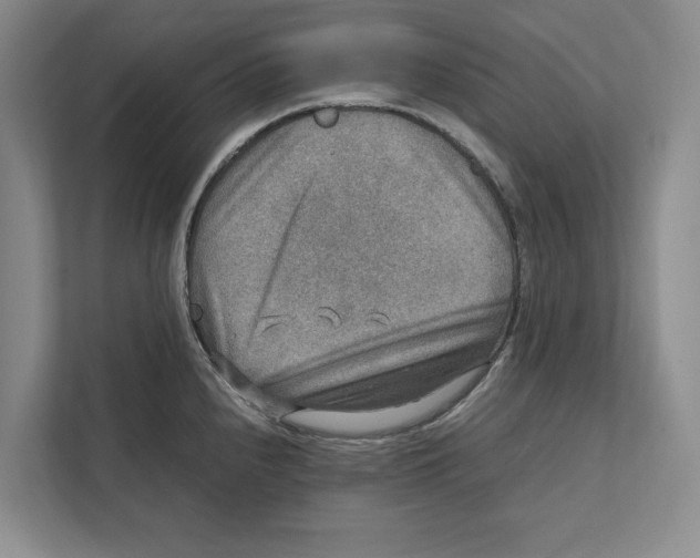 X0000111841240200908201210