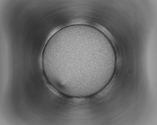 X0000111841242200908201210