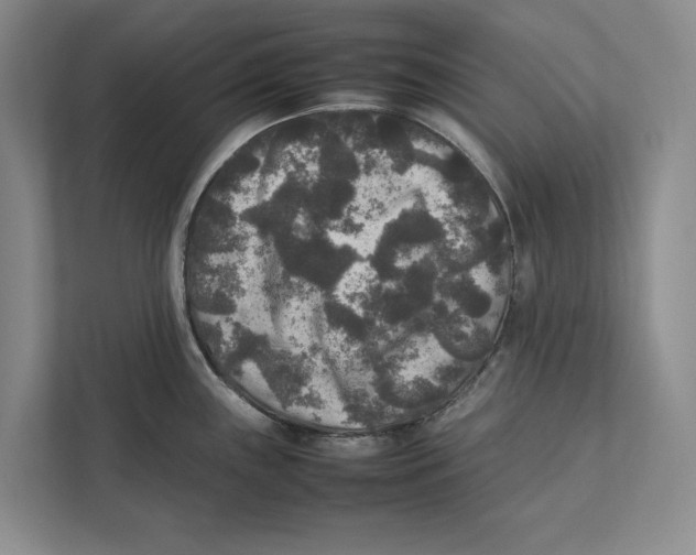 X0000111841243200908201210