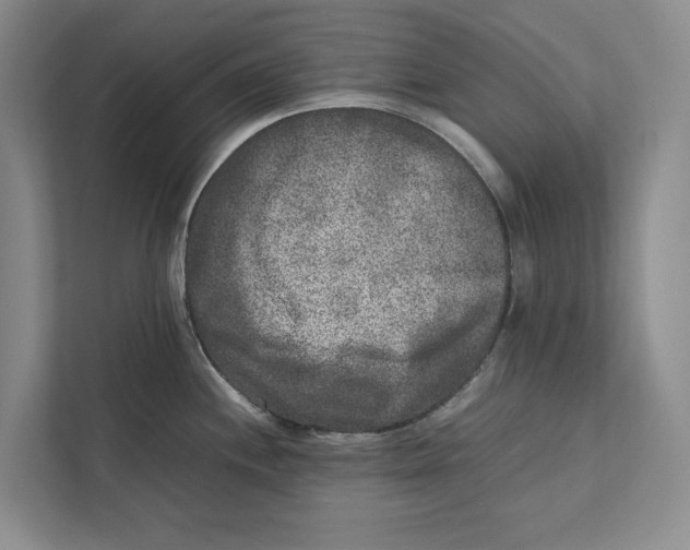 X0000111841244200908201210