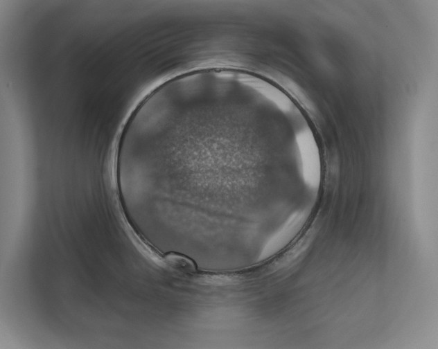 X0000111841246200908201210