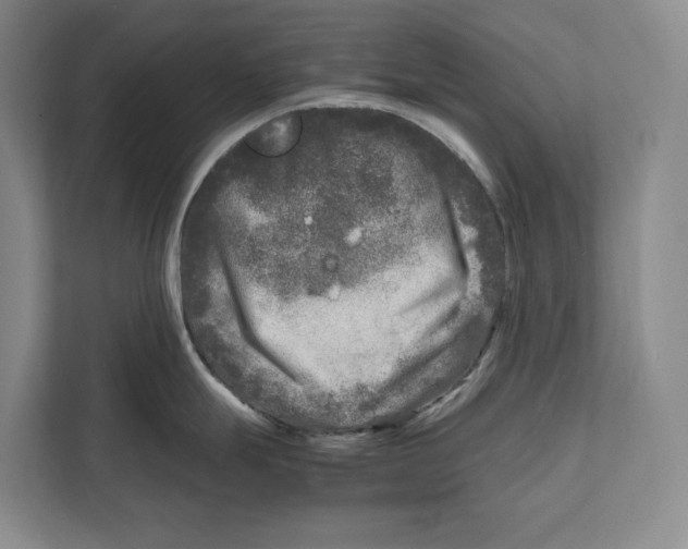 X0000111841247200908201210