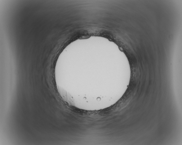 X0000111841249200908201210