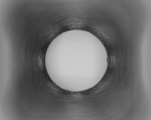 X0000111841250200908201210