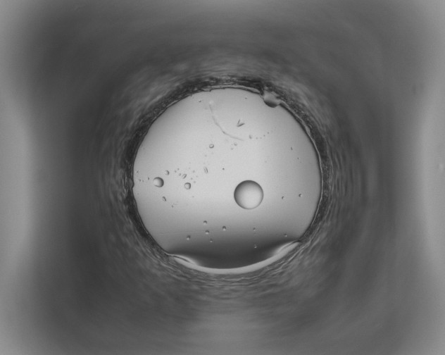 X0000111841253200908201210