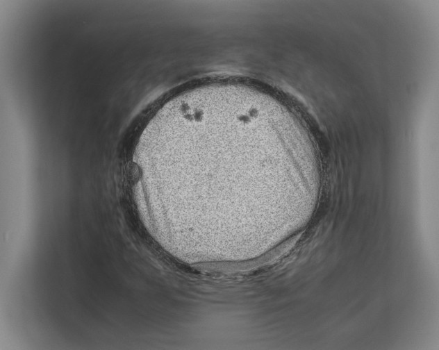 X0000111841255200908201210