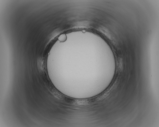 X0000111841258200908201209