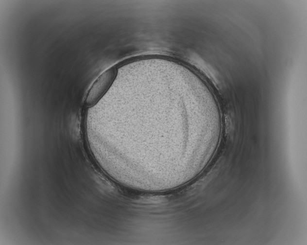 X0000111841260200908201209