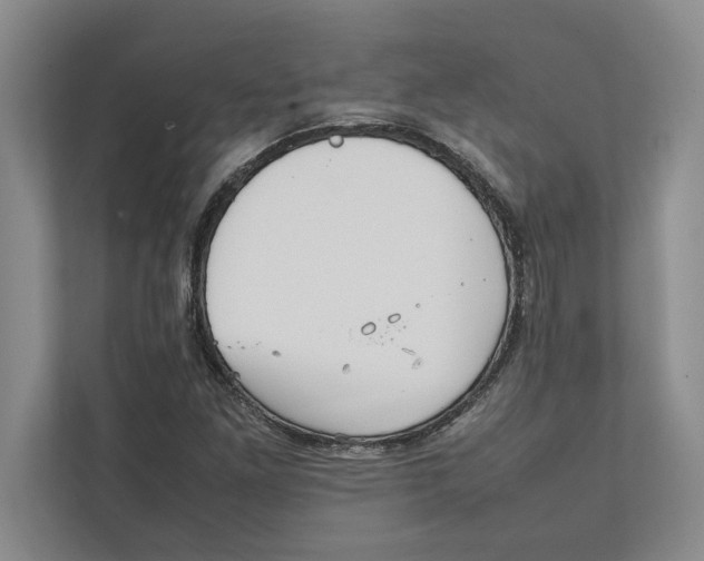 X0000111841261200908201209