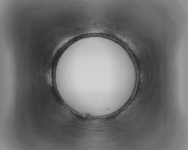 X0000111841262200908201209