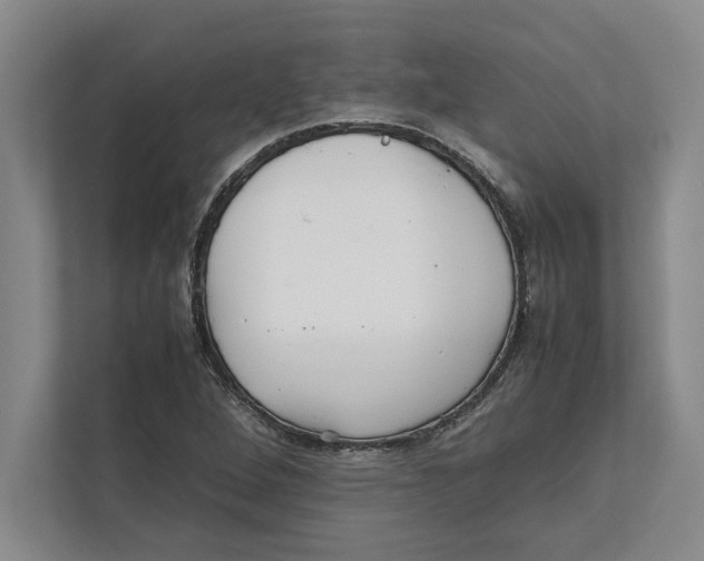 X0000111841264200908201209