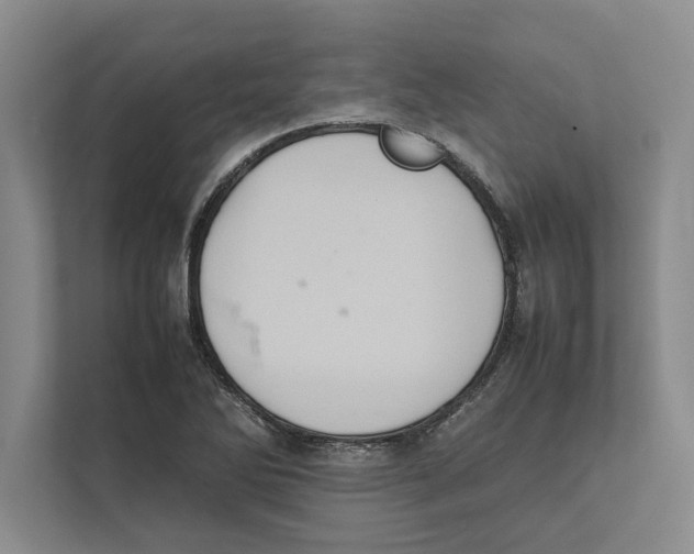 X0000111841270200908201209