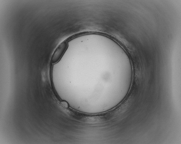 X0000111841272200908201209