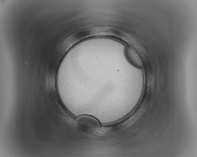 X0000111841273200908201209