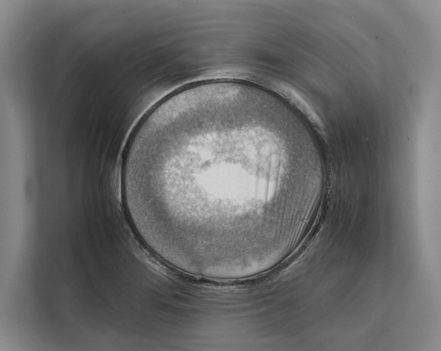 X0000111841276200908201209