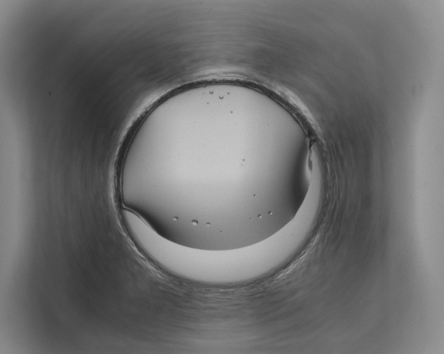 X0000111841277200908201209