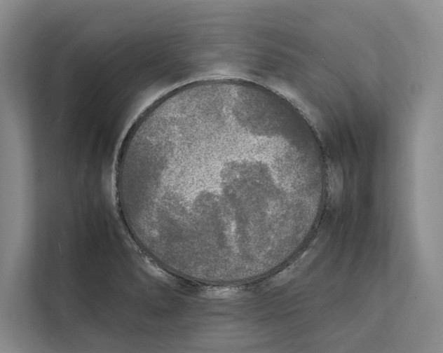 X0000111841278200908201209