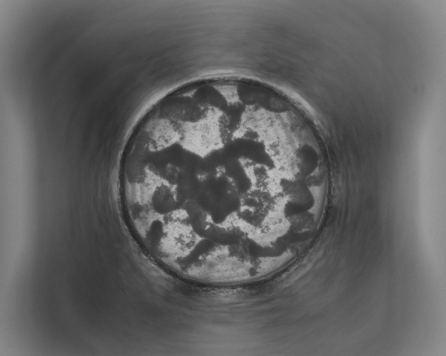 X0000111841279200908201209