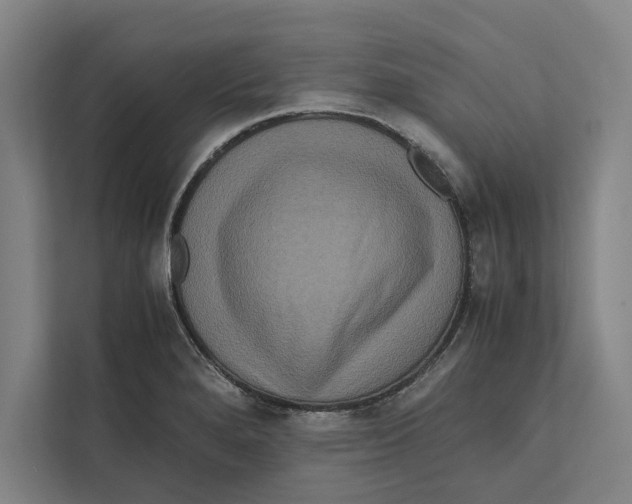 X0000111841280200908201209