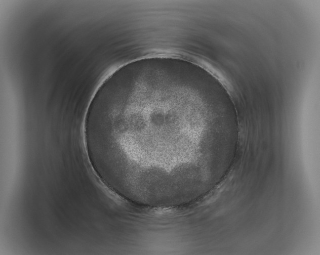 X0000111841283200908201209