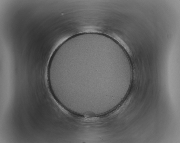 X0000111841285200908201209