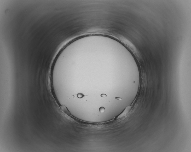 X0000111841288200908201209