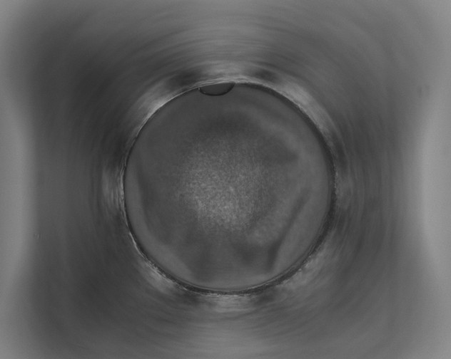 X0000111841289200908201209