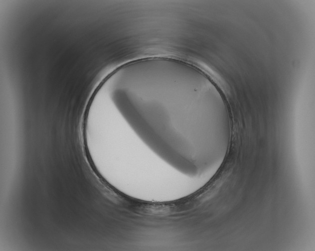 X0000111841291200908201209