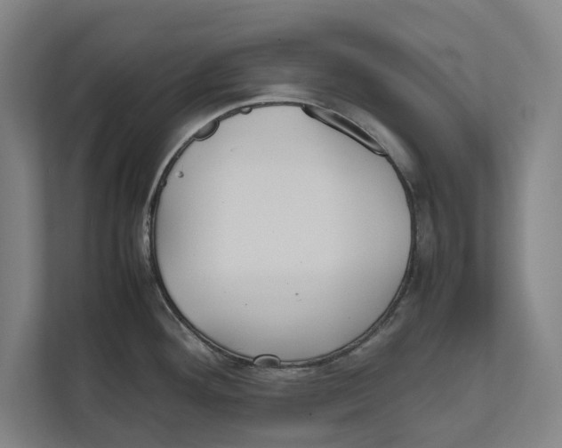 X0000111841292200908201209