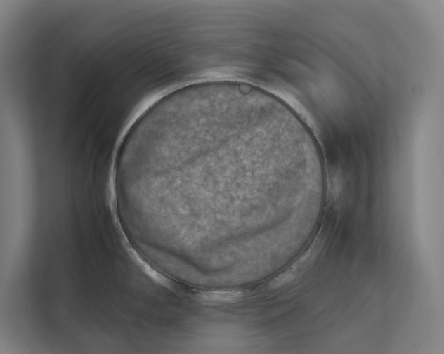 X0000111841294200908201209