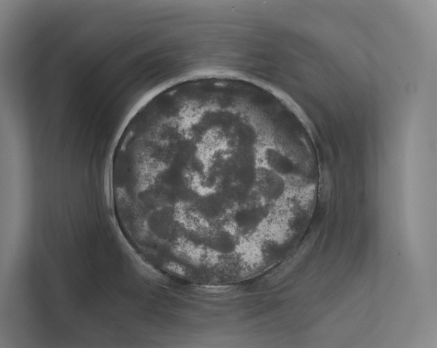 X0000111841295200908201209