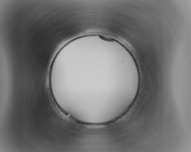 X0000111841296200908201209