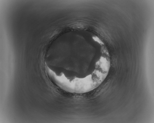 X0000111841297200908201208