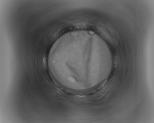 X0000111841298200908201208