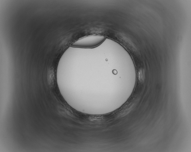 X0000111841299200908201208