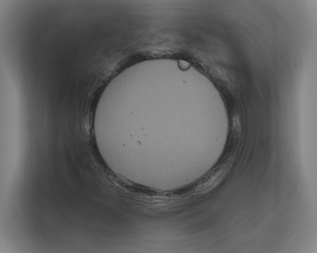 X0000111841300200908201208