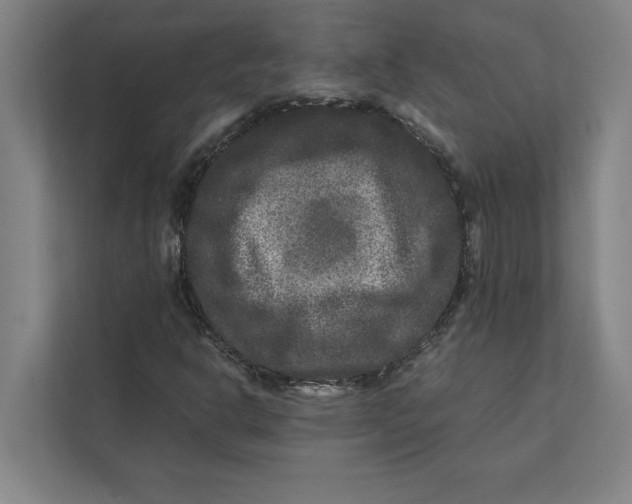 X0000111841302200908201208