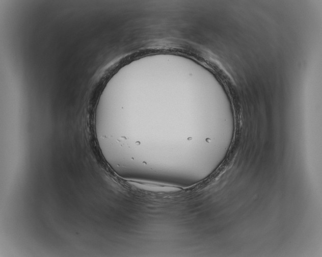 X0000111841304200908201208